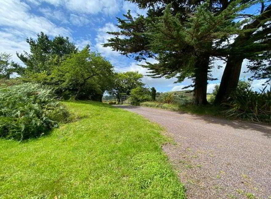 Cappaghglass, Ballydehob, P81N275