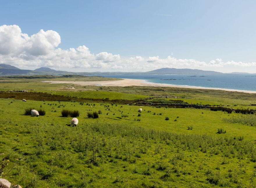 Kinnadoohy, Killadoon, Louisburgh, F28XD98