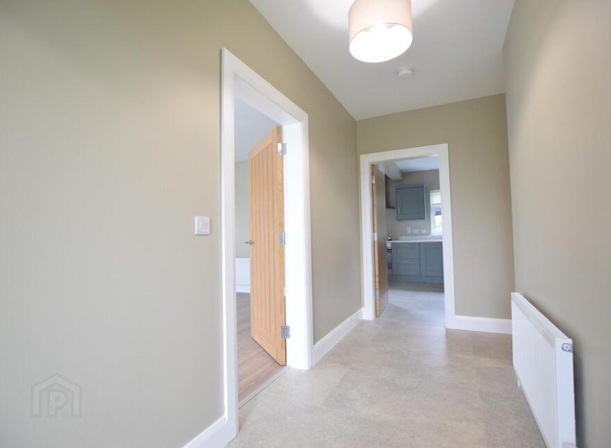 45 Coolreaghs Road, Cookstown, BT80 8ER