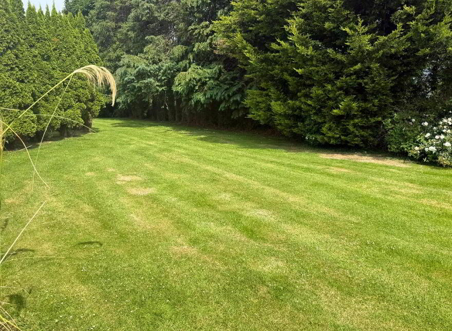 Dunmore Gardens, Carrigans