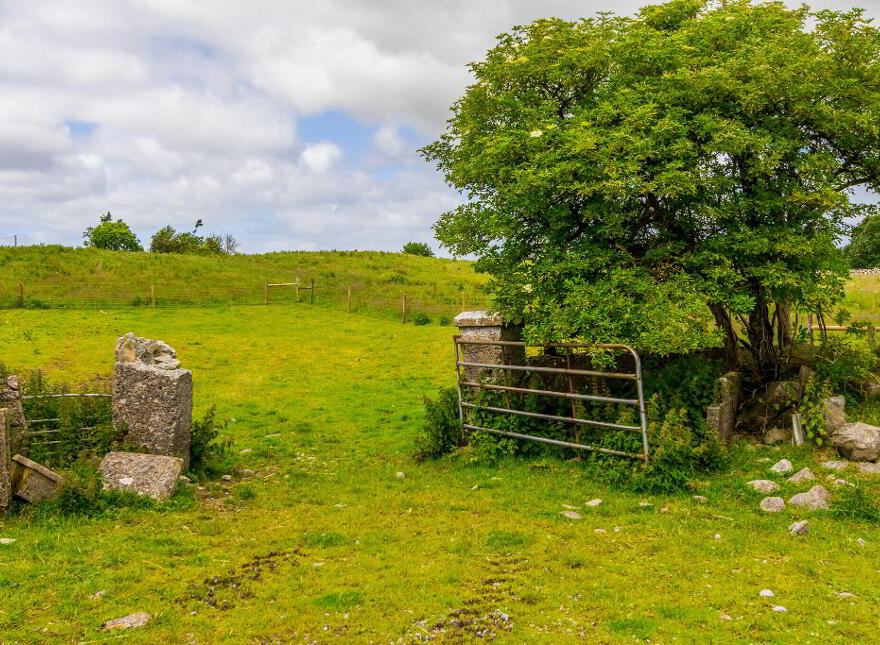 Camhill, Brideswell, N37P963
