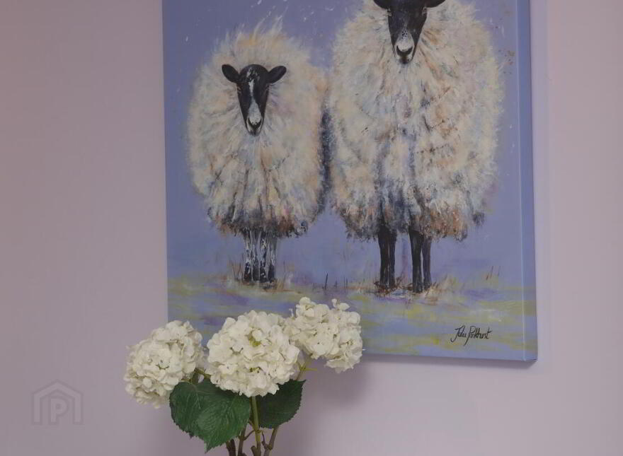 Gan Uimhir, Gore Street, Killala, F26D585