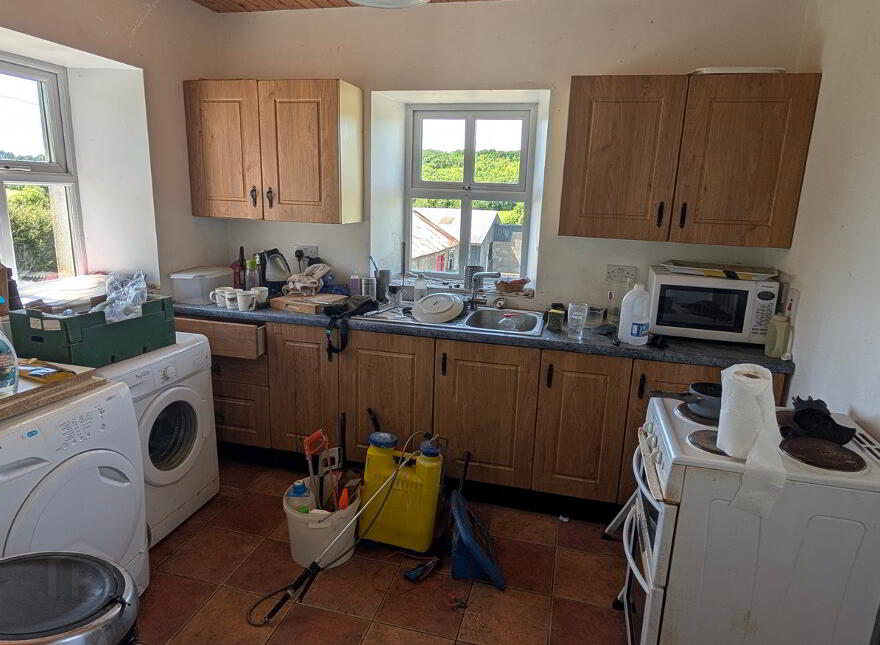 Cornagunleog Townland, Bawnboy, N41NN29