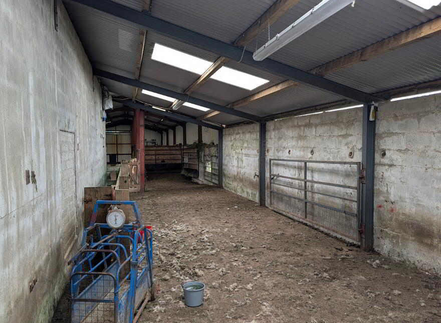 Cornagunleog Townland, Bawnboy, N41NN29
