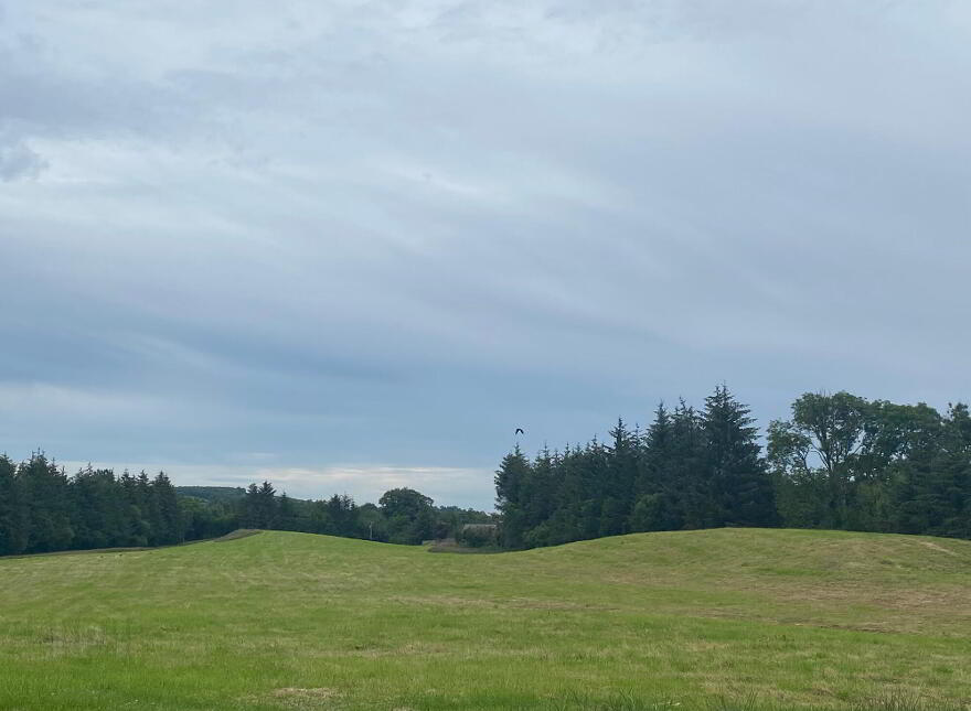 65 Leighan Road, Derrygonnelly, BT93 6GX