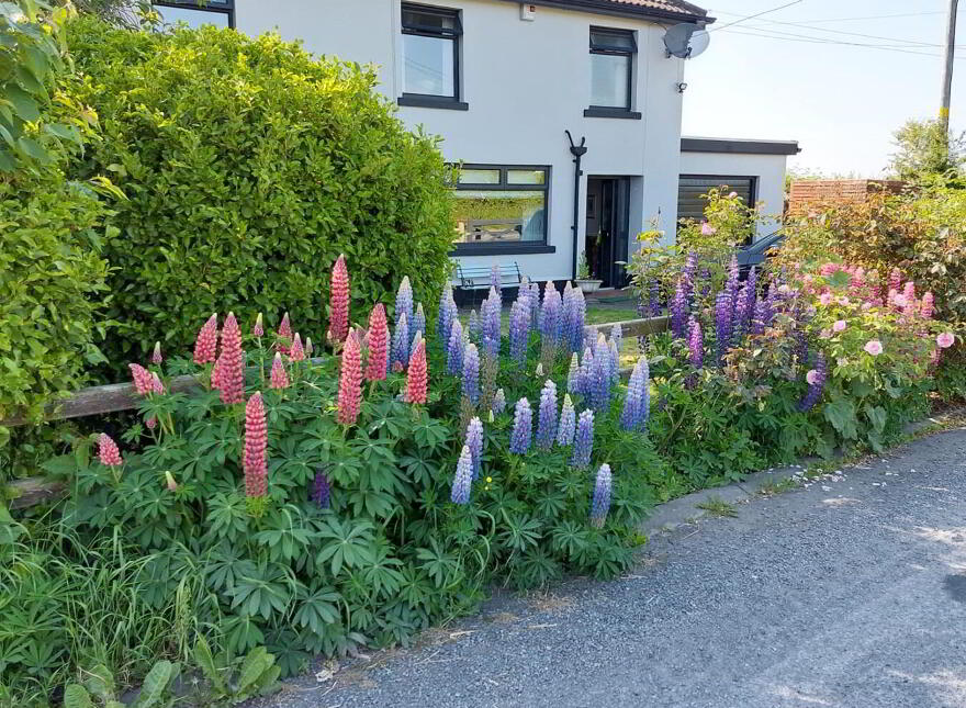 26 Mullalelish Road, Richhill, BT61 9JZ