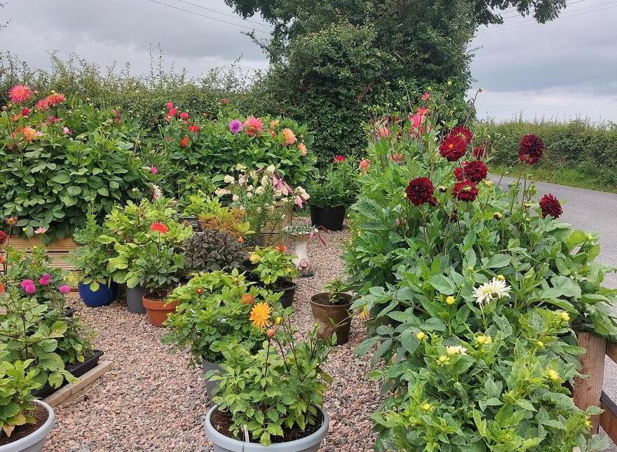 26 Mullalelish Road, Richhill, BT61 9JZ