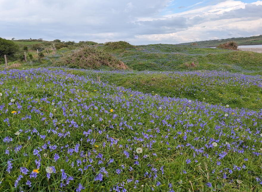 Dernish Island, Grange