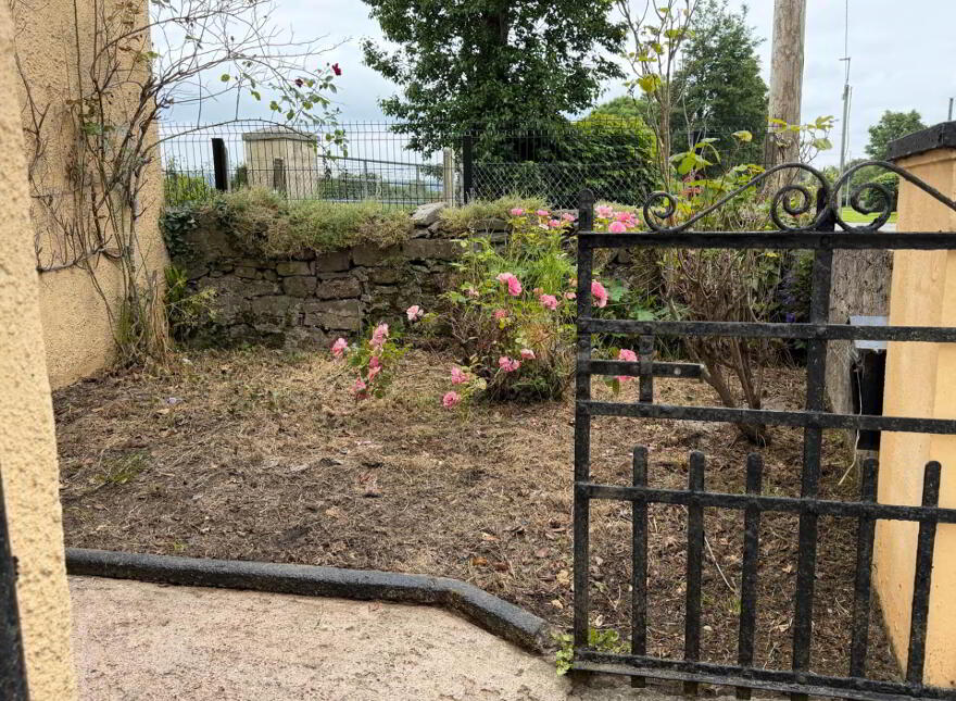 Burges, Ballylooby, Cahir, County Tipperary, E21AY77