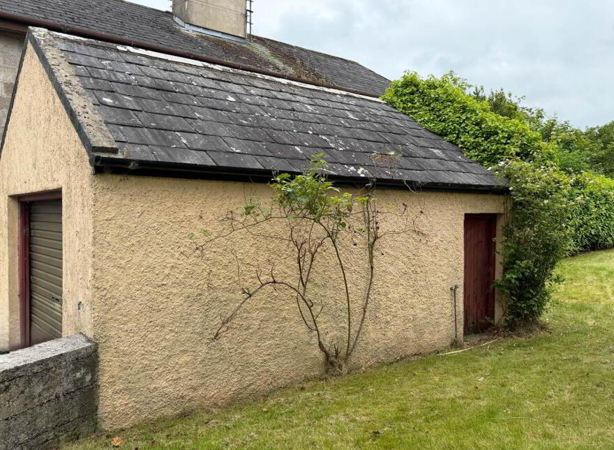 Burges, Ballylooby, Cahir, County Tipperary, E21AY77