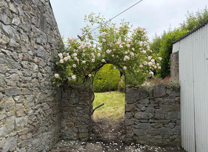 Burges, Ballylooby, Cahir, County Tipperary, E21AY77