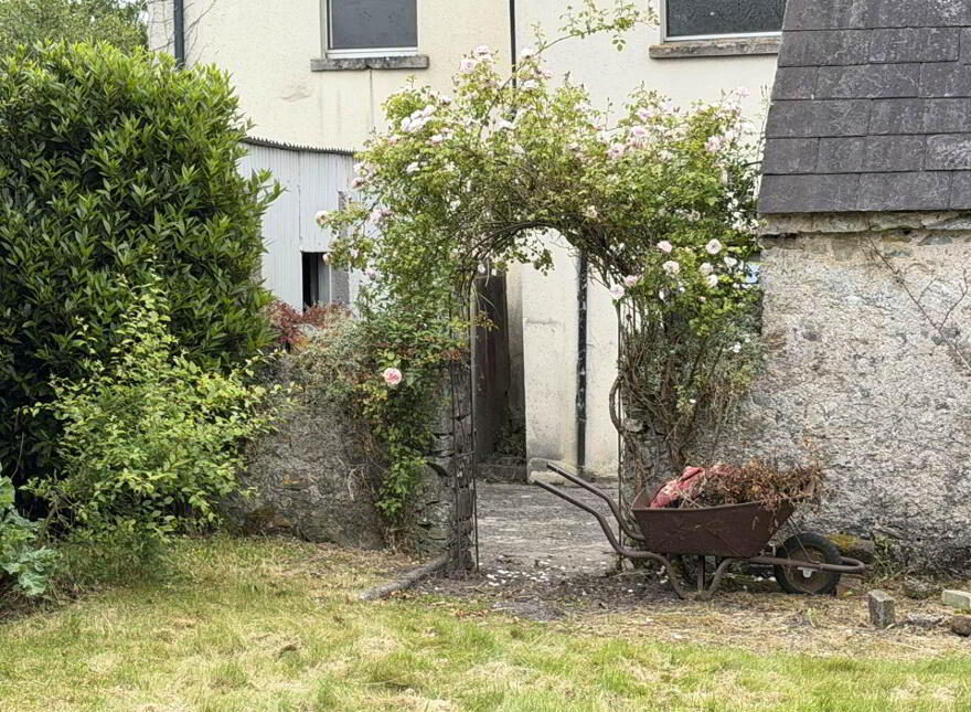 Burges, Ballylooby, Cahir, County Tipperary, E21AY77