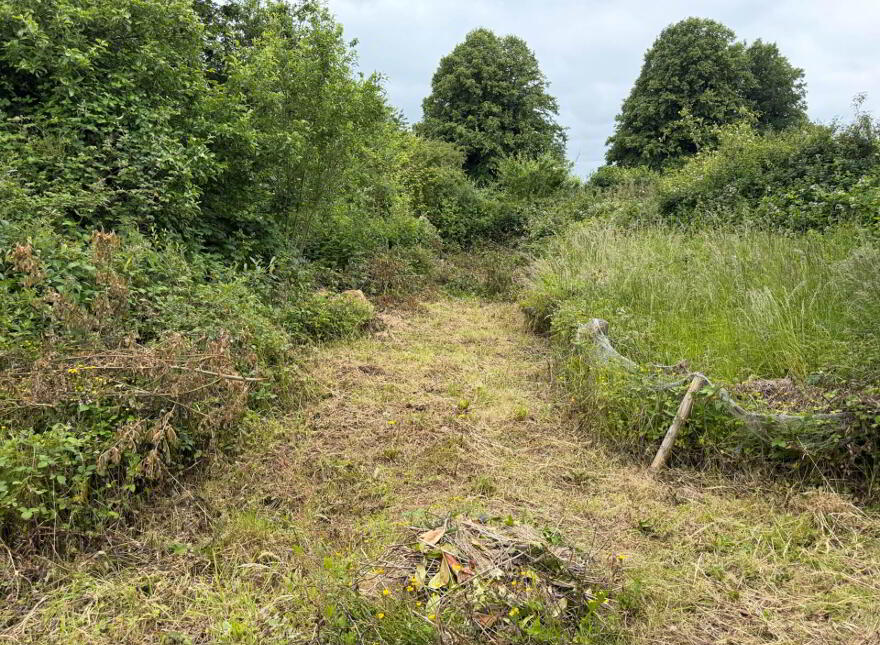 Burges, Ballylooby, Cahir, County Tipperary, E21AY77