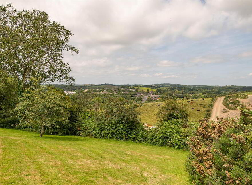 8 Bulls Eye Park, Downpatrick, BT30 6RX
