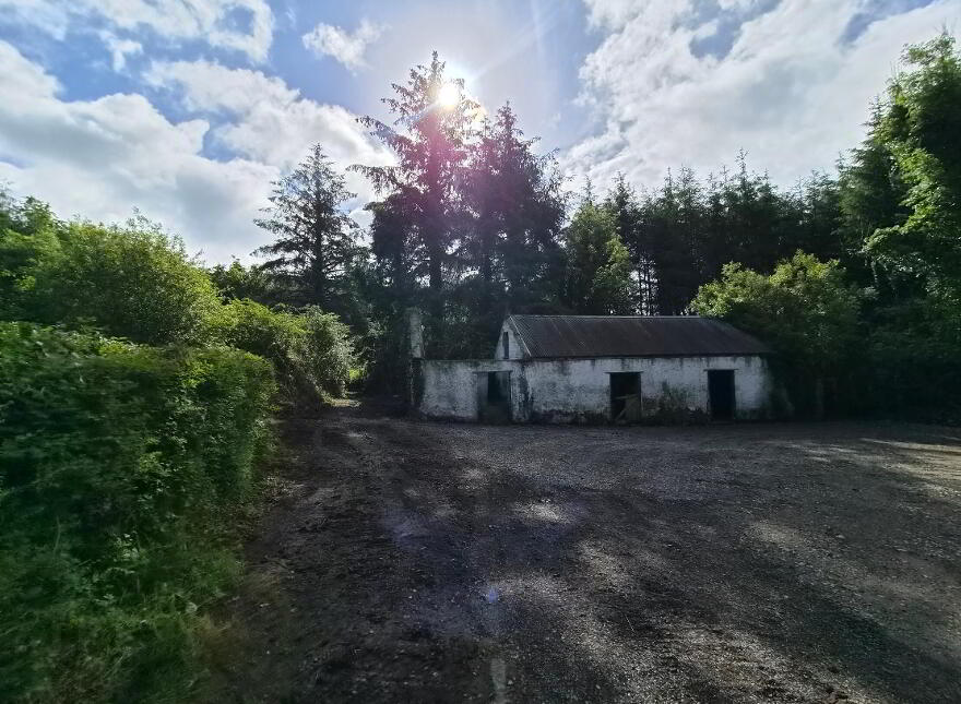 Corgar, Gorvagh, Carrick-On-Shannon, N41FX51