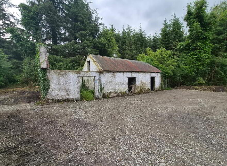 Corgar, Gorvagh, Carrick-On-Shannon, N41FX51
