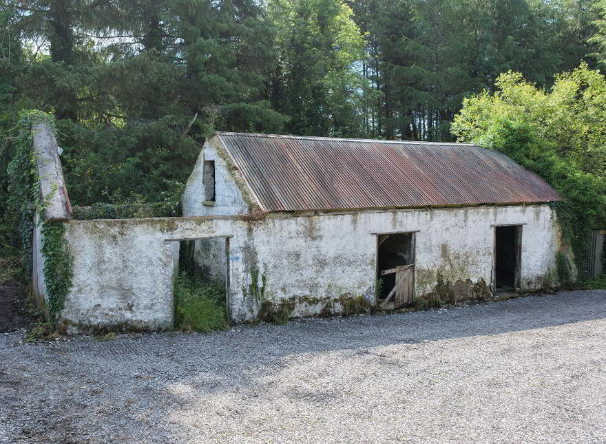Corgar, Gorvagh, Carrick-On-Shannon, N41FX51