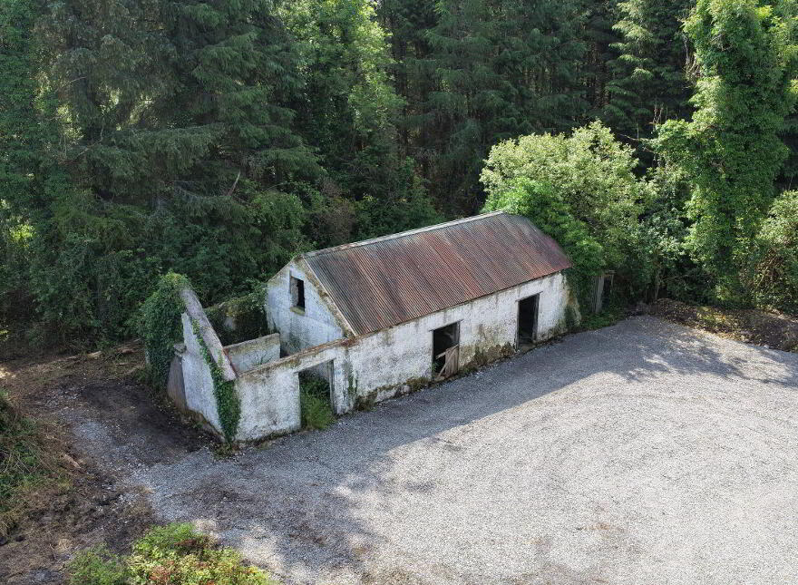 Corgar, Gorvagh, Carrick-On-Shannon, N41FX51