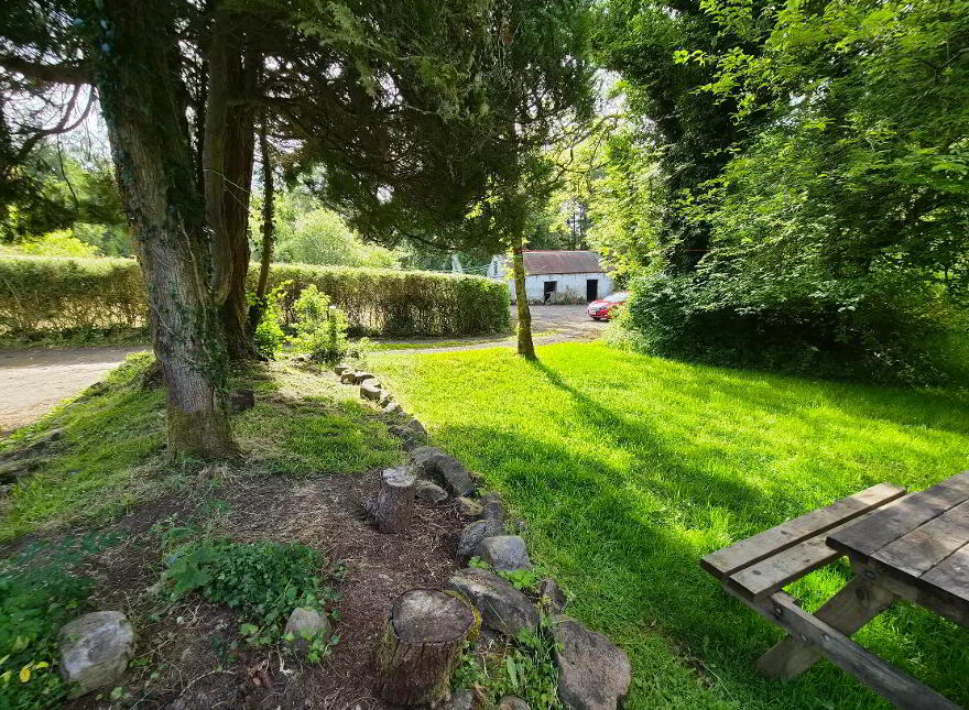 Corgar, Gorvagh, Carrick-On-Shannon, N41FX51