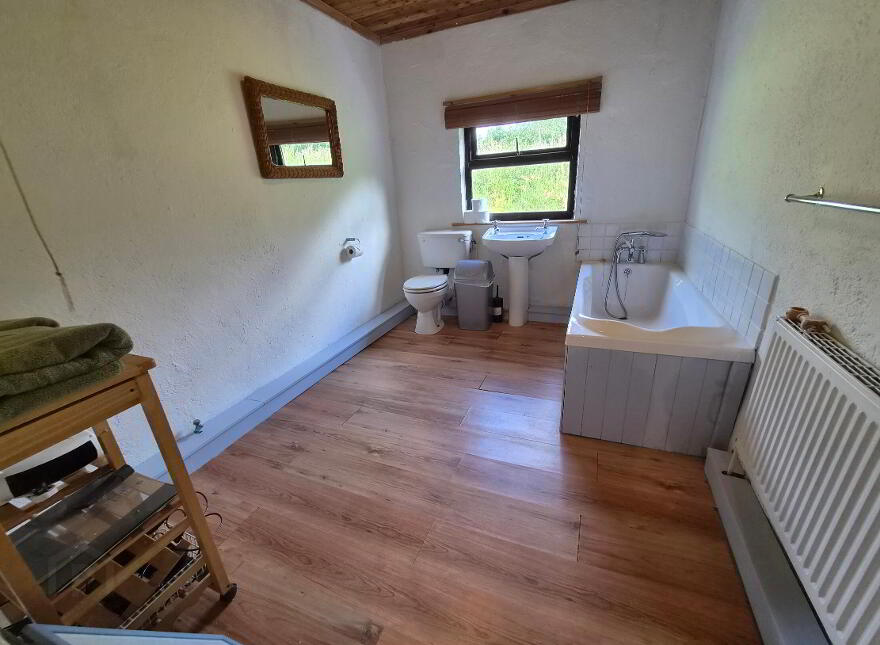 Corgar, Gorvagh, Carrick-On-Shannon, N41FX51