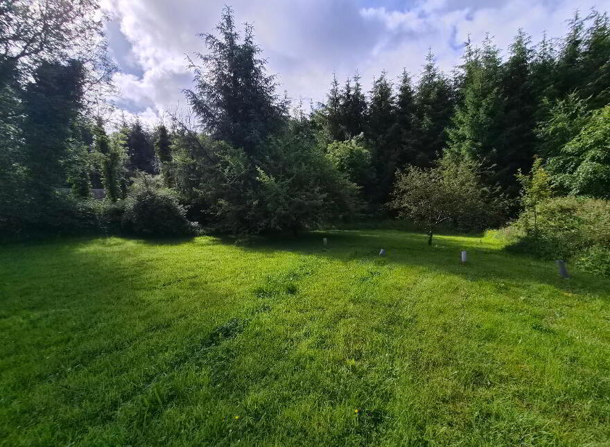 Corgar, Gorvagh, Carrick-On-Shannon, N41FX51