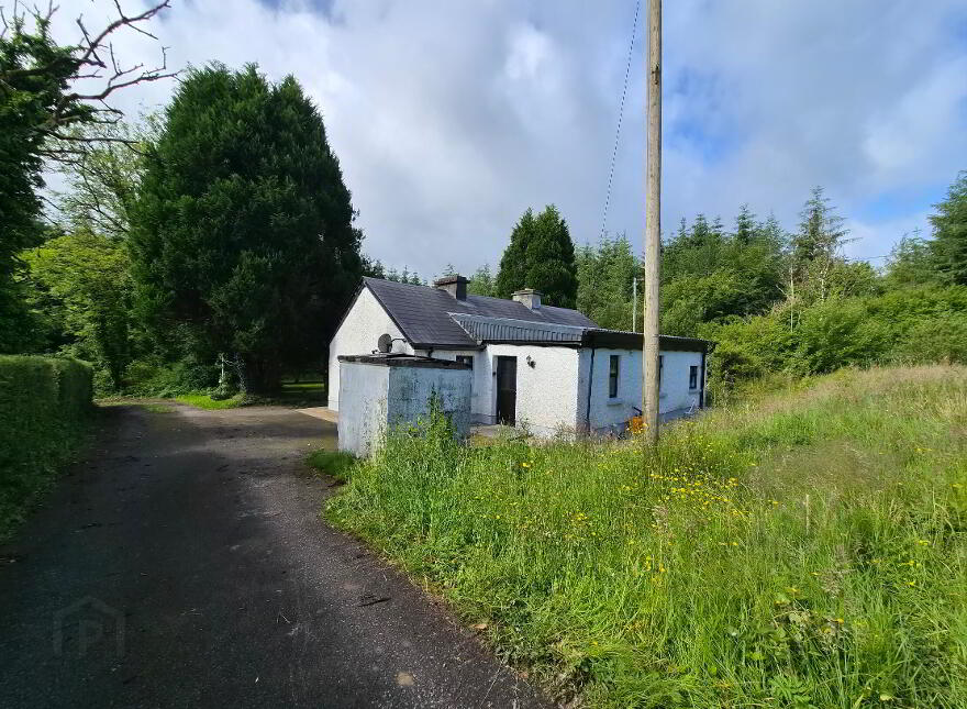 Corgar, Gorvagh, Carrick-On-Shannon, N41FX51