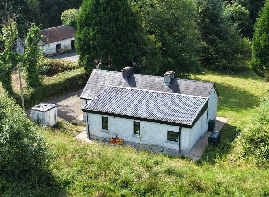 Corgar, Gorvagh, Carrick-On-Shannon, N41FX51