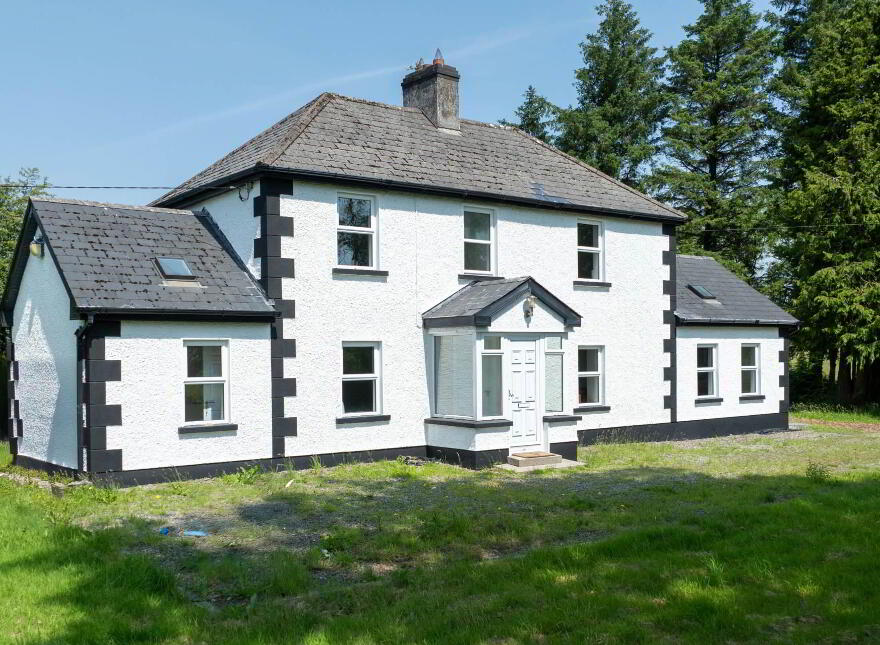 Naomh Brid, Cornamagh, Kingscourt, A82E167 photo