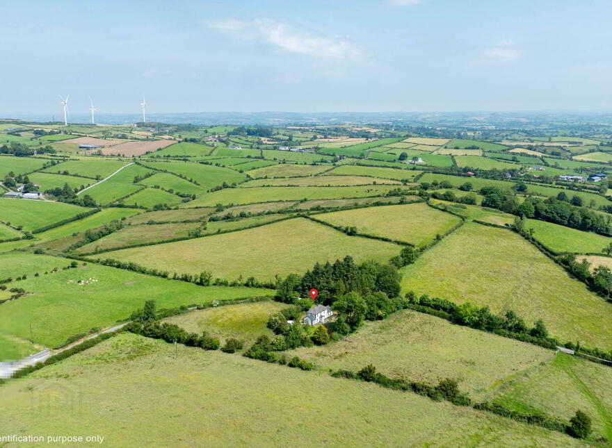 Naomh Brid, Cornamagh, Kingscourt, A82E167