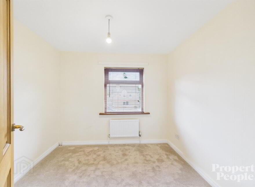 9 Lindsay Court, Belfast, BT7 1AU