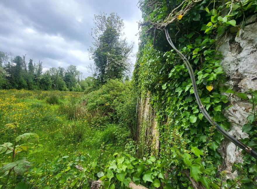 Lavagh, Drumsna