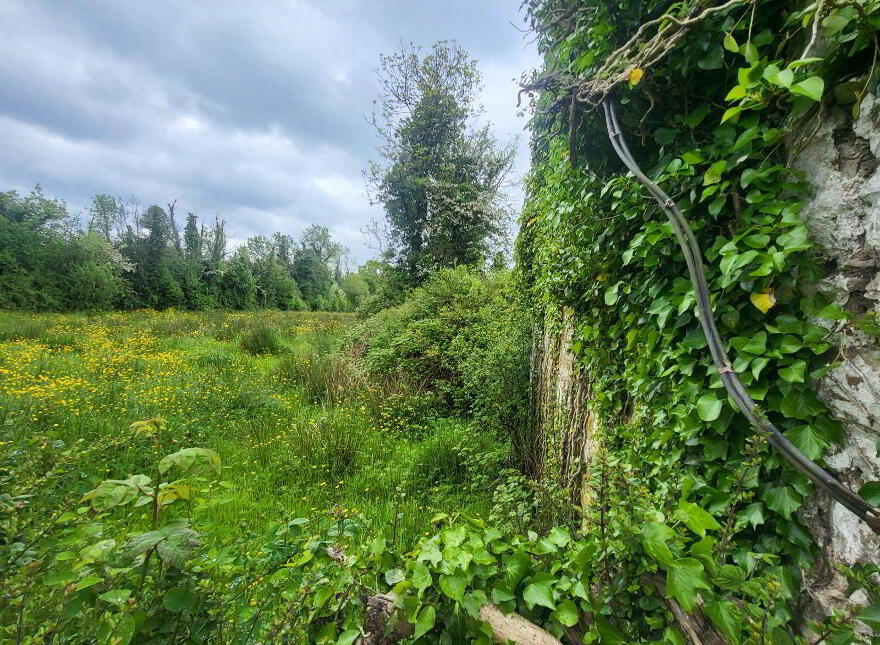 Lavagh, Drumsna