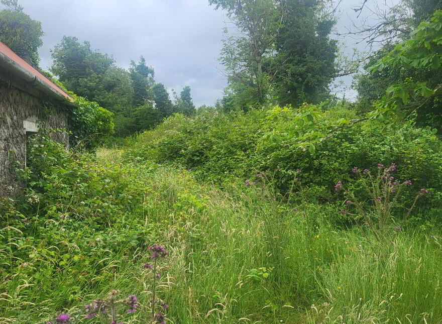 Lavagh, Drumsna