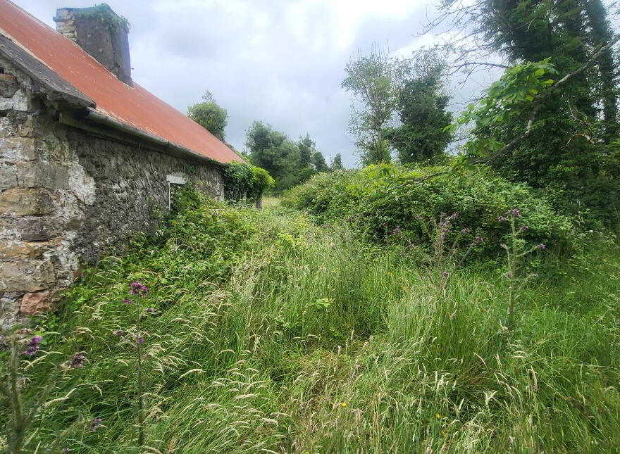 Lavagh, Drumsna