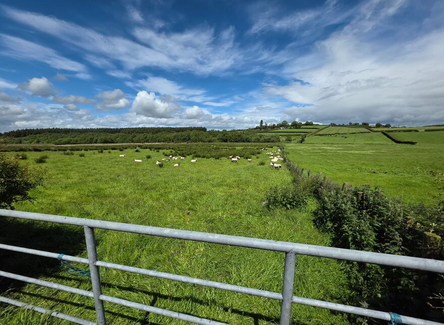 14 Corgary Road, Castlederg, BT81 7YE
