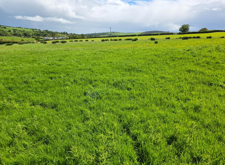 14 Corgary Road, Castlederg, BT81 7YE