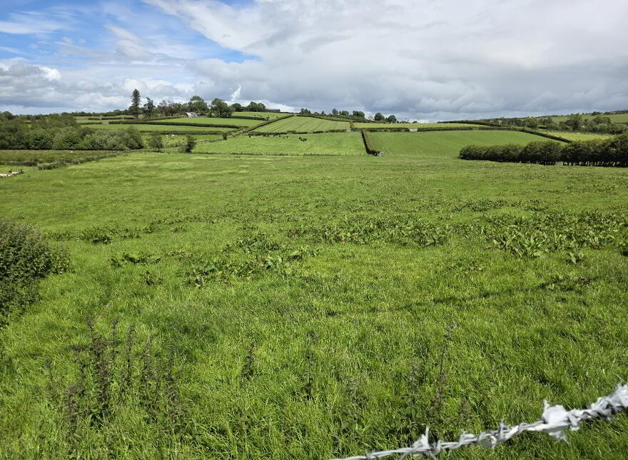 14 Corgary Road, Castlederg, BT81 7YE
