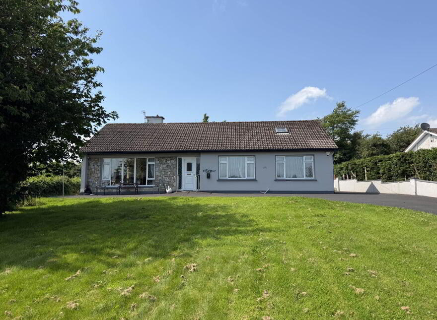 Swan Lake, Lough Gur, Bruff, V35D959