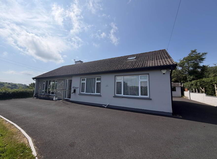 Swan Lake, Lough Gur, Bruff, V35D959