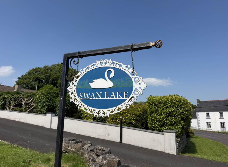 Swan Lake, Lough Gur, Bruff, V35D959