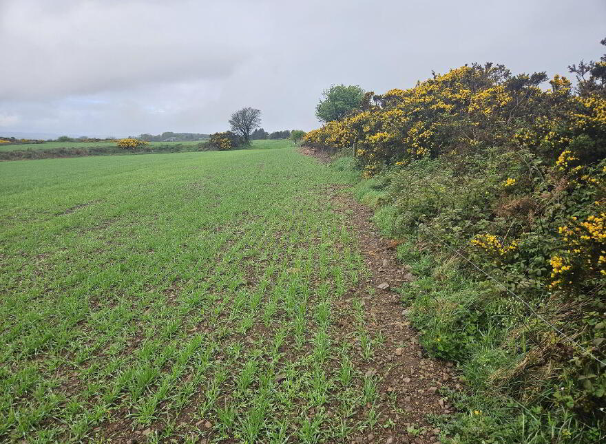 Ballyhooleen, Ballinhassig