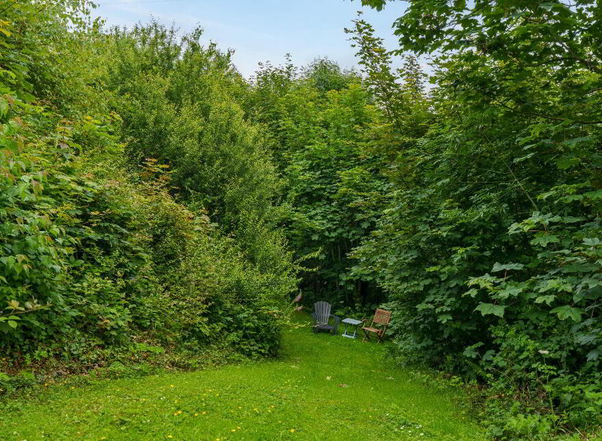 Curraleigh, Inniscarra, P31XK82