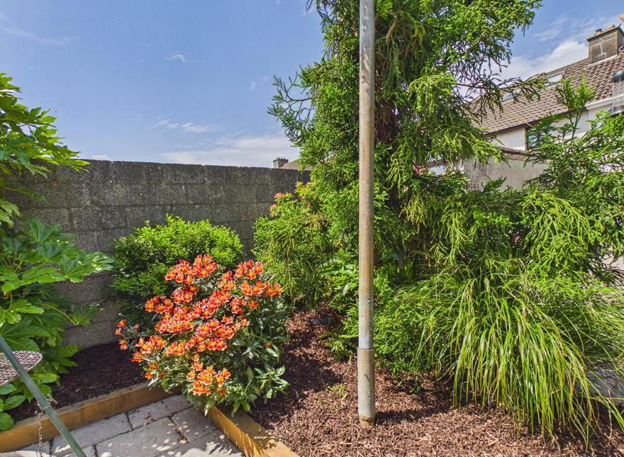 246 Saint Johns Park, X91E9CV