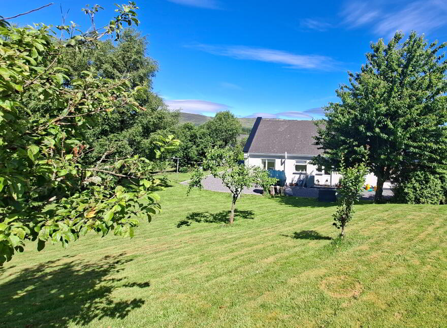 'Quicken Tree', Letterfad, Letterbarrow, Donegal Town, F94VH32