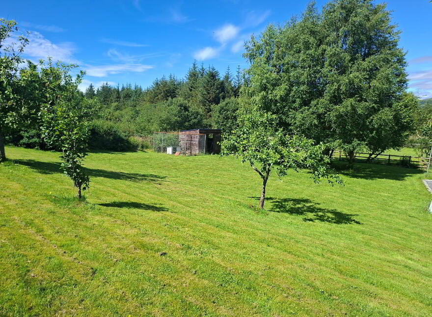 'Quicken Tree', Letterfad, Letterbarrow, Donegal Town, F94VH32