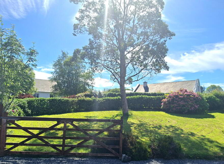 'Quicken Tree', Letterfad, Letterbarrow, Donegal Town, F94VH32