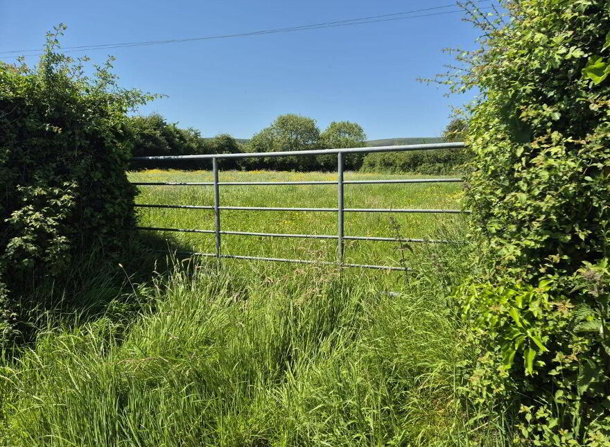 Killoughteen, Newcastle West