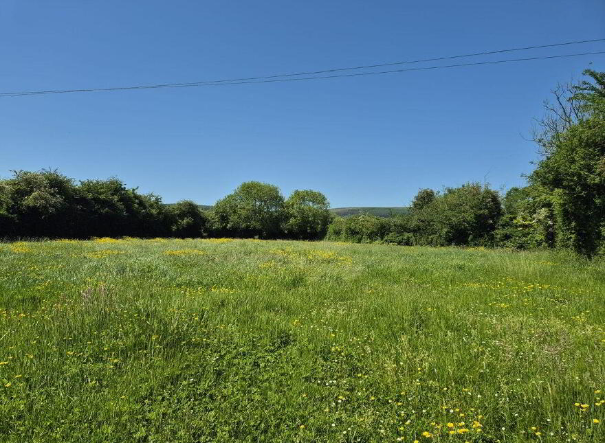 Killoughteen, Newcastle West