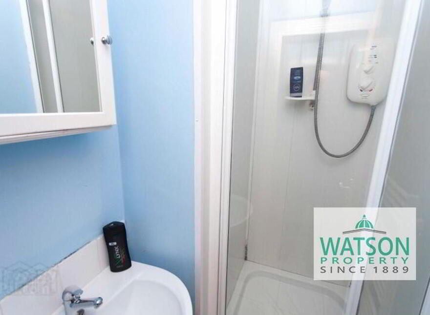 (Six Bedroom HMO), 18 St Ives Gardens, Stranmillis Road, Stranmillis V...Belfast, BT9 5DN