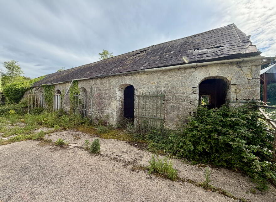 Deerpark, Charleville, P56Y938
